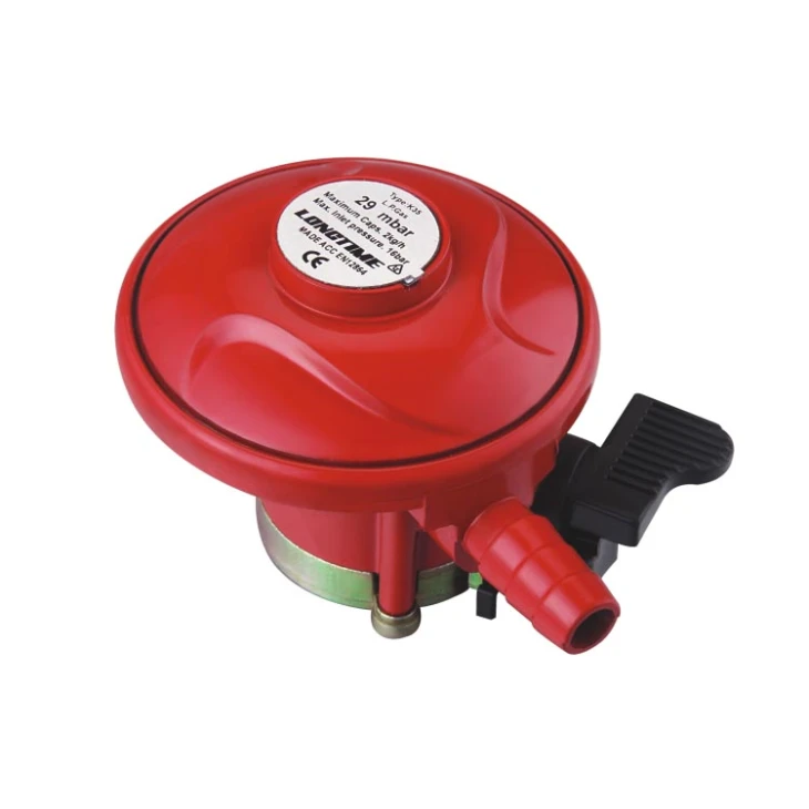 Residential Gas Regulator 2